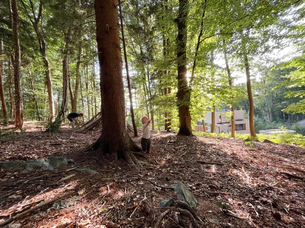 Gite Des Bois De Spa Zewnętrze zdjęcie