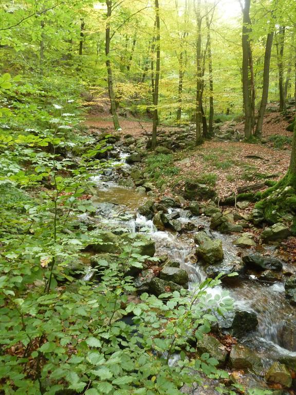 Gite Des Bois De Spa Zewnętrze zdjęcie