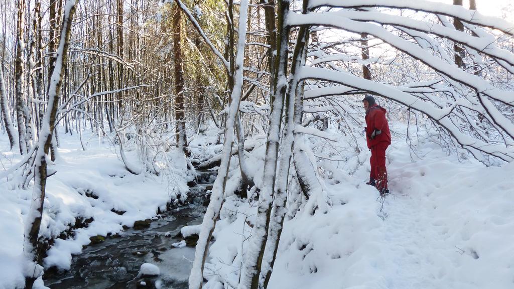 Gite Des Bois De Spa Zewnętrze zdjęcie