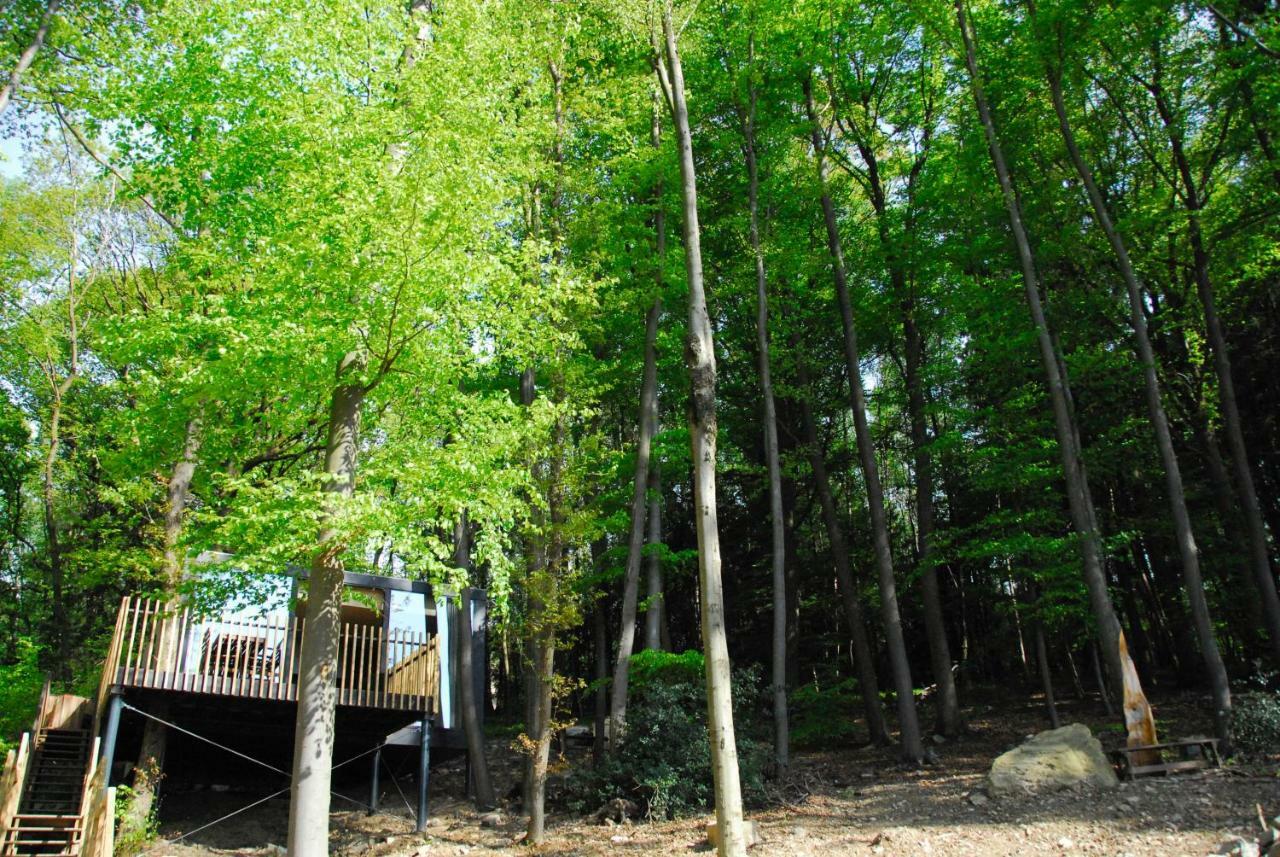 Gite Des Bois De Spa Zewnętrze zdjęcie